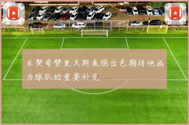 东契奇赞里夫斯表现出色期待他成为球队的重要补充