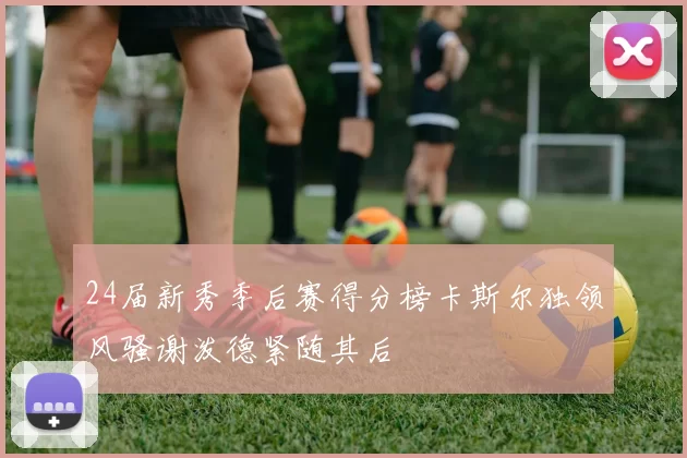 24届新秀季后赛得分榜卡斯尔独领风骚谢泼德紧随其后